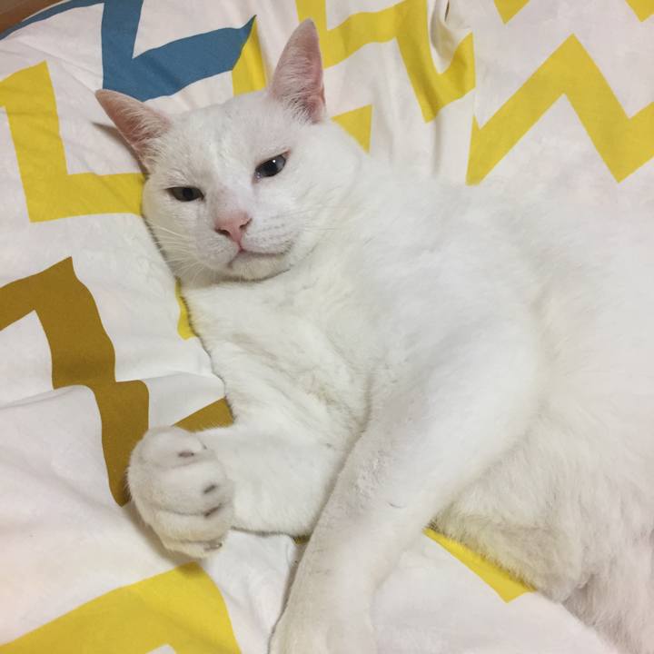 3cbec750 a5e5 42bd abf4 44884254070e 1563227956932