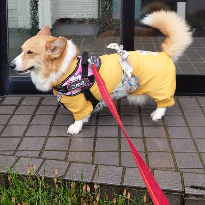 3cbed450 7807 44f2 9c16 2b55c7bdd6a5 1776724925237