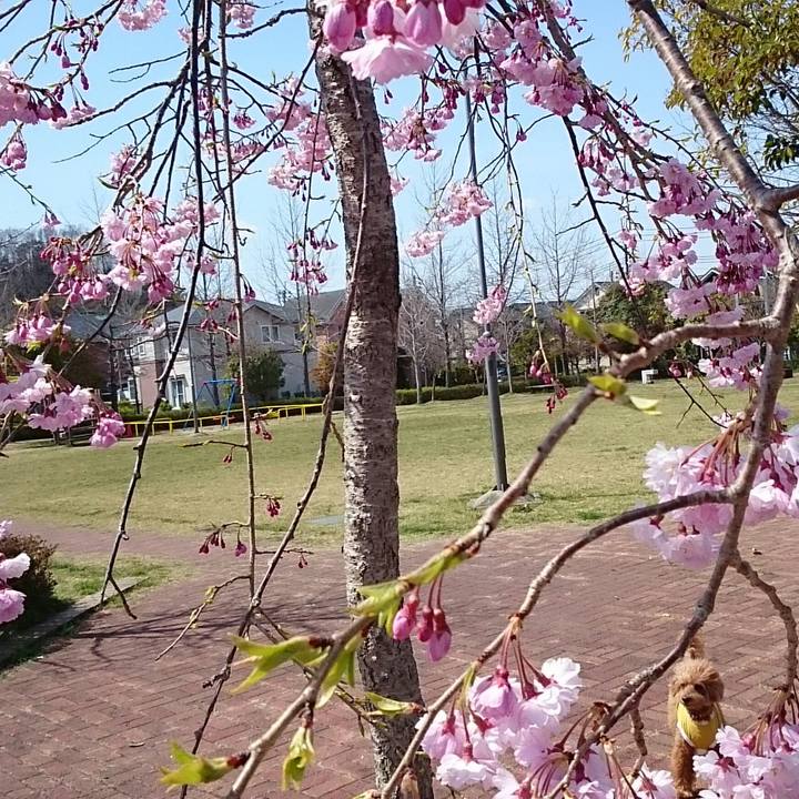 3cbed596 b281 4c85 80b2 2f0021a5c798 1523414780256