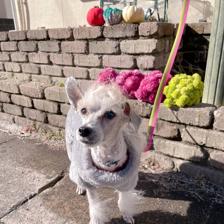 3cbef918 e0ac 4bca 8cdd aa2ea7379f47 1764926439653