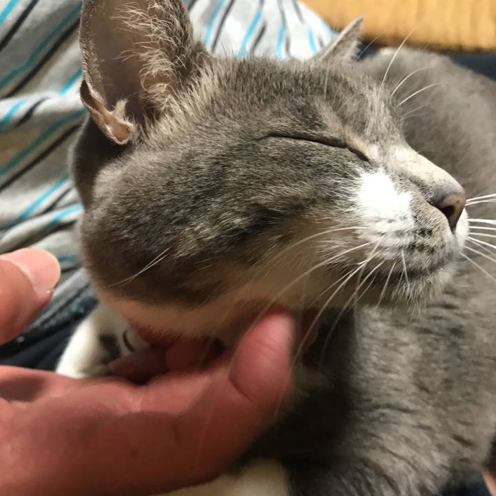 3cbf2685 42f7 40a5 a994 bb700a524614 1522591585005