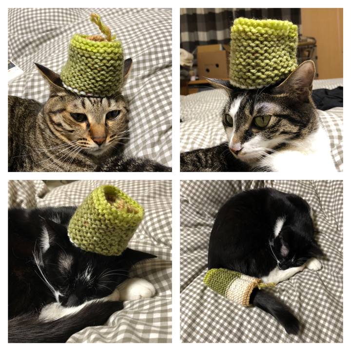 3cbf8ad9 3bce 40fc 9b8b 8eda87f852c1 1550236914893