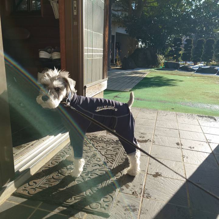 3cbf9a1f a449 4a90 b913 bb7603f0ac44 1769933303282