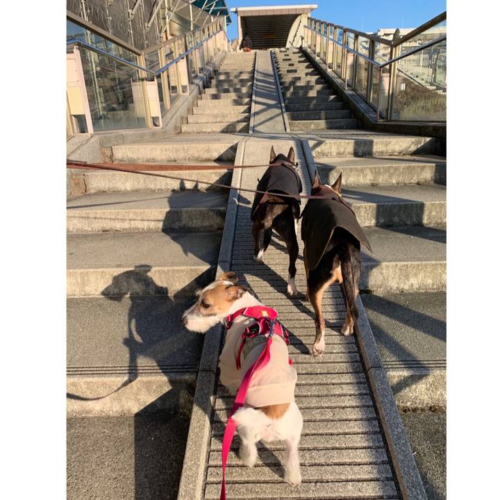 3cbfe374 7133 445a a52b 578f1ce30b70 1581421384510