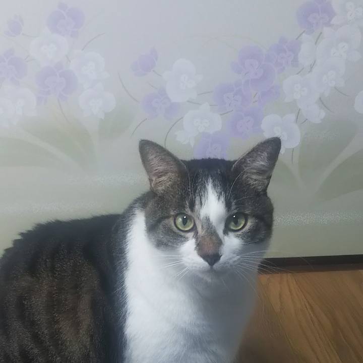 3cbfe379 cf64 48b0 9bbb 3b7e415a1e99 1603158376127