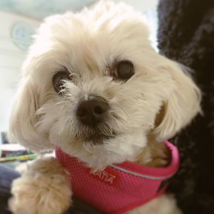 3cbff234 fd8c 4ac1 bfbd 63c7e960b383 1618737686544