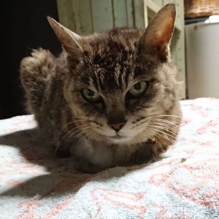 3cbff75b 8369 4b45 b9aa 666c2ca74e2b 1595840189190