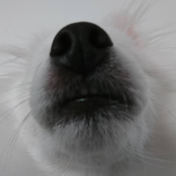 3cbff944 ba84 47e2 8b76 77a18f17b64b 1555647970921