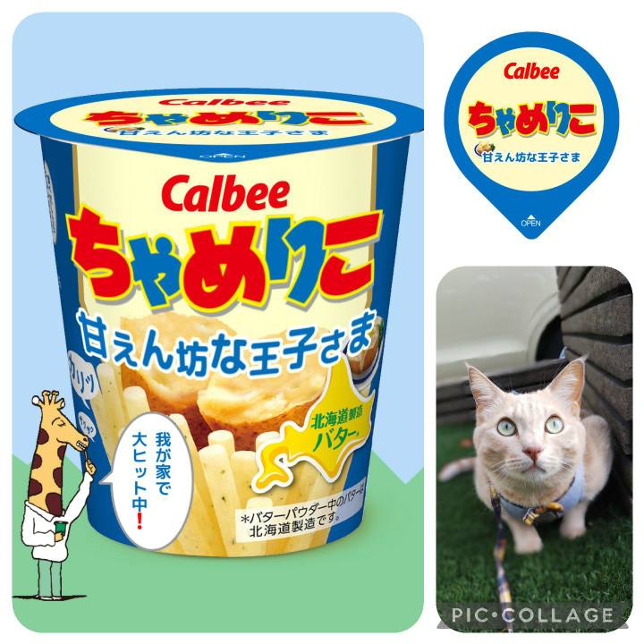 3cc040a8 a139 4e71 b1e0 f9978c3b6ef3 1635428814409