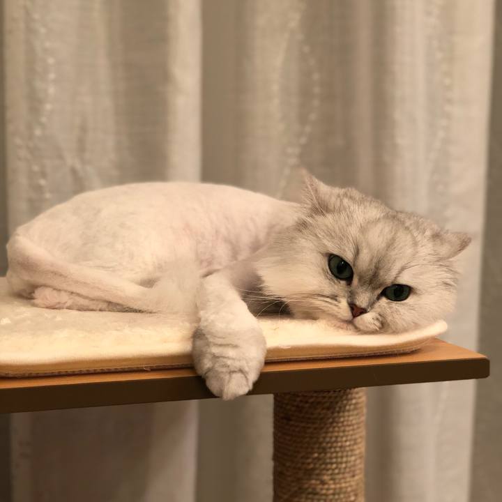 3cc0494e df52 4118 932b bcedf8fc4092 1523453896789