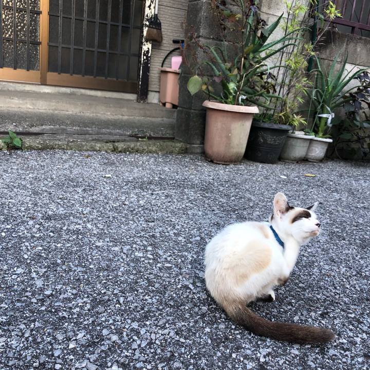 3cc0710e 8b61 482f bd63 bf2c1a29afce 1643882513499