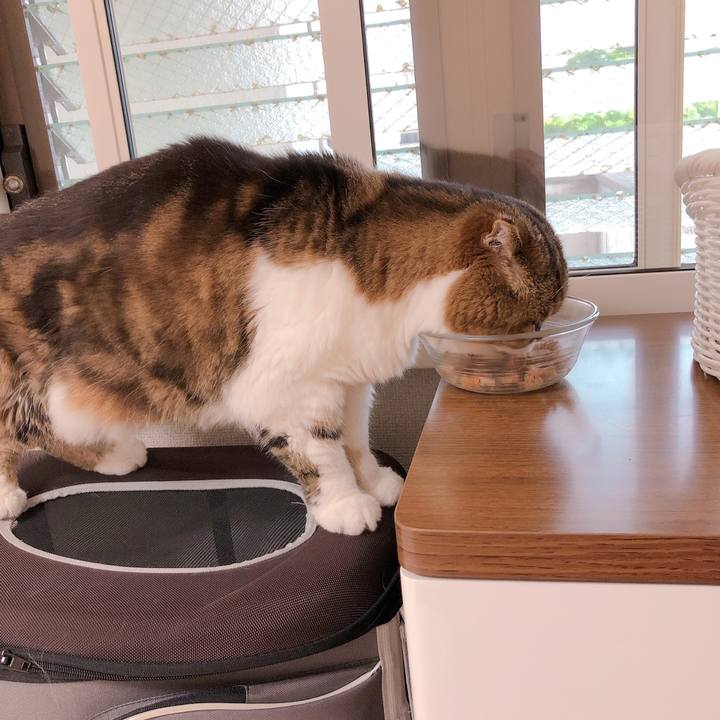 3cc07b19 6ed8 42d6 8973 a7bc2e07d0b5 1593423975496