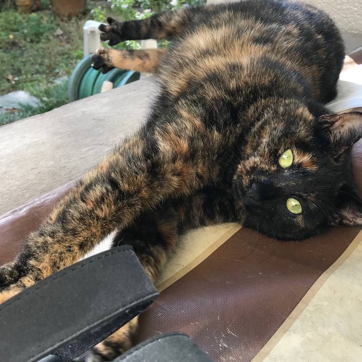 3cc08a78 a134 4149 9b26 8fbaa44efde4 1510979682909