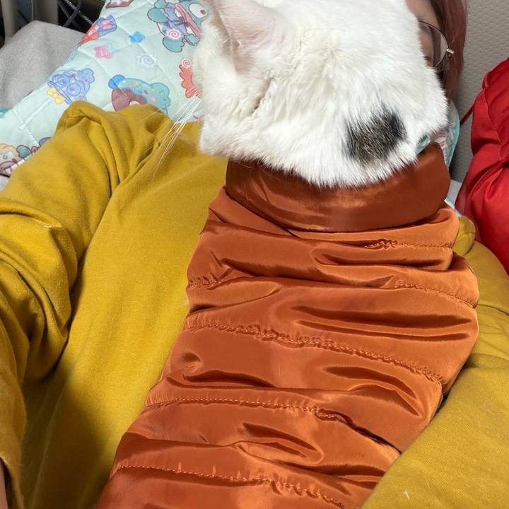 3cc0916f a58e 4aee afca 1d90e9239f04 1770746967920