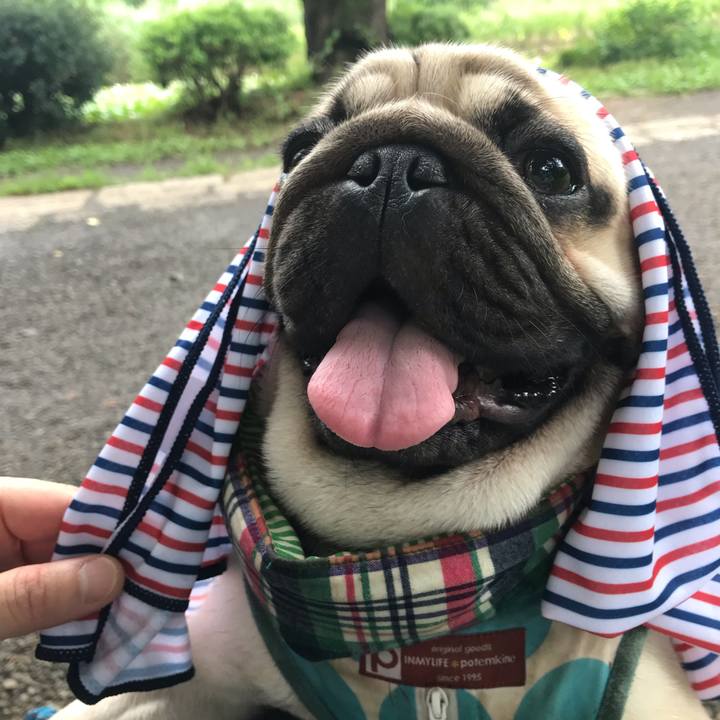 3cc09328 1463 4897 98ff 412939677fd9 1563021530299