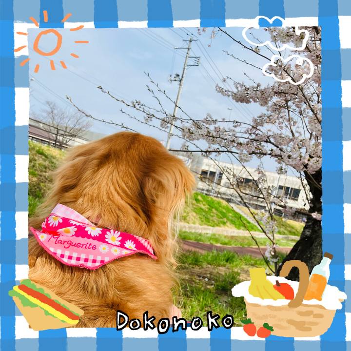 3cc0d63a 9fb4 4c8b a7d1 66a1d1f37f59 1744445572764