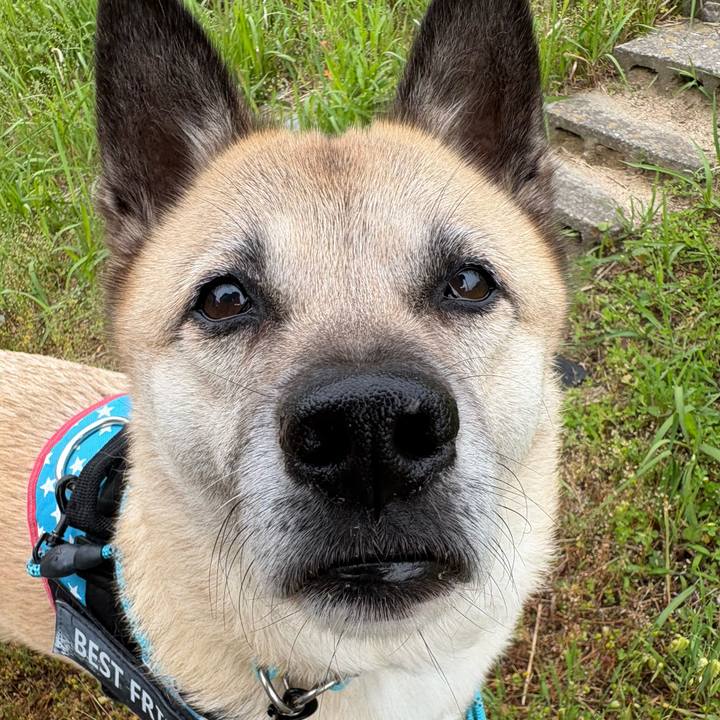 3cc0f75c 38f1 4814 a7eb e546bcaa8c55 1748520008917