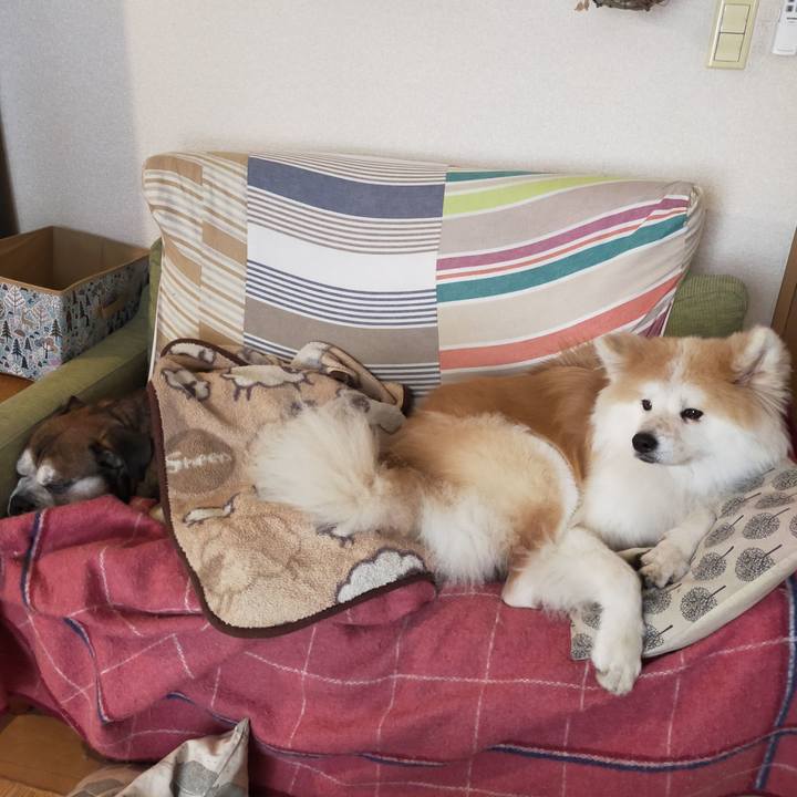 3cc116cd d9ac 4ebe bcc1 4854c650e7b4 1636287204935