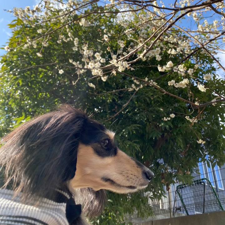 3cc11c4d d0ff 4ea9 ad6d 2d8d2c48b0cf 1771811141080