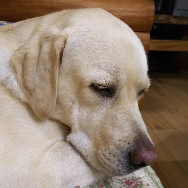 3cc1396d 5f77 423f 8e34 326920979682 1535449269366