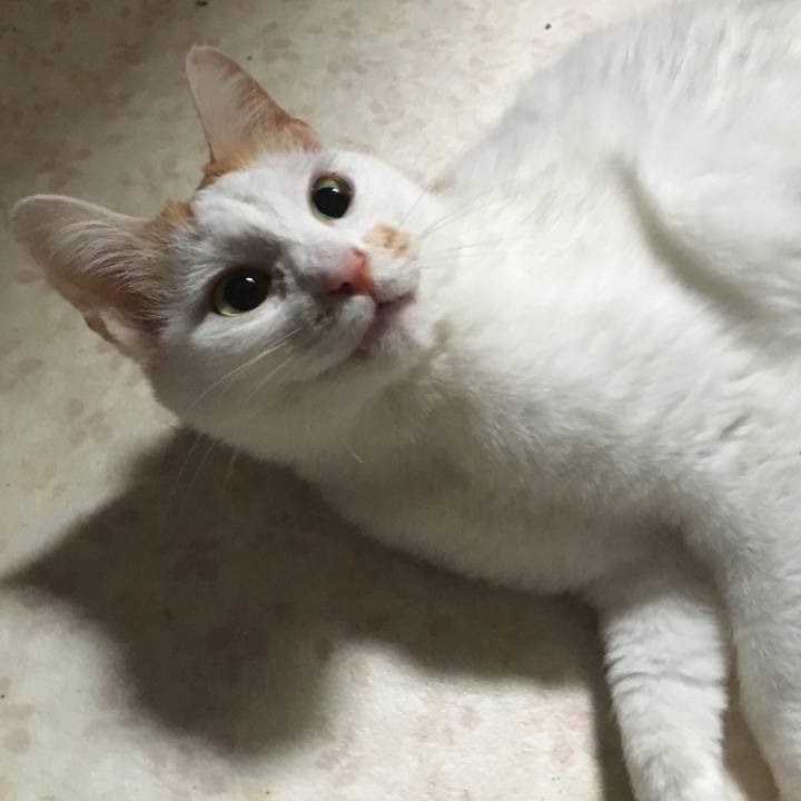 3cc13c71 f708 49d3 884b ea27e5187814 1523440489630