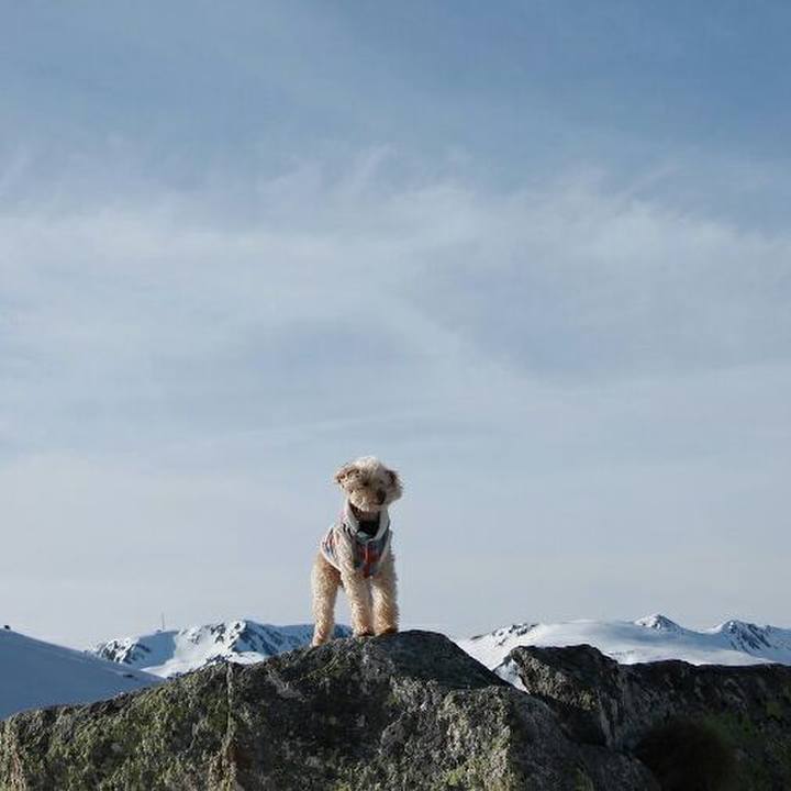 3cc14052 4127 46e4 b153 9d1d12db54f8 1581872957394