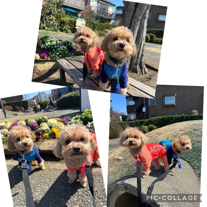 3cc14f43 5d3a 401d baf0 c4311dc3fa2c 1741499248053