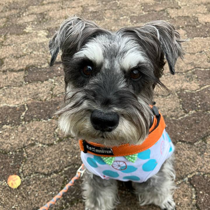 3cc15a53 2172 45ac 90bc 40add8e7fd51 1746527676090