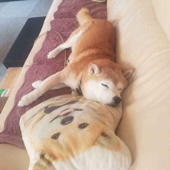 3cc1970b 4c4a 4734 9882 947bb86e2f0d 1693885324734