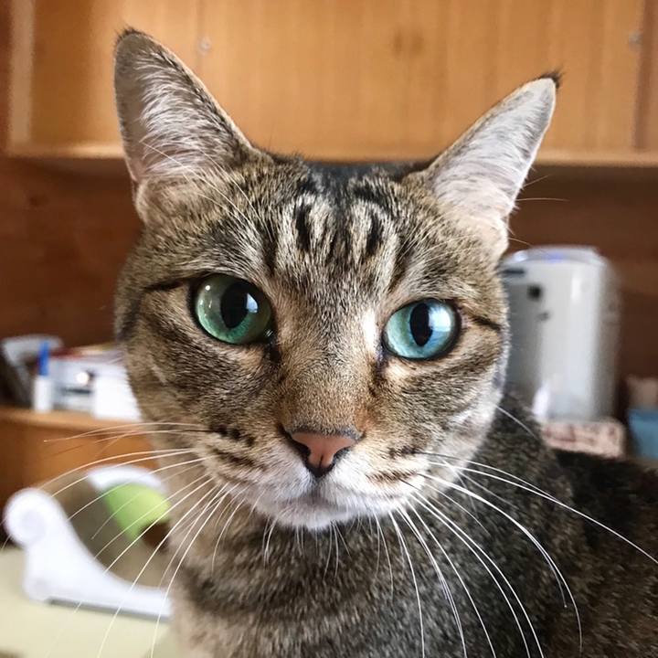 3cc1af96 b5db 4c51 bc2b 756671c40cc5 1558680373224