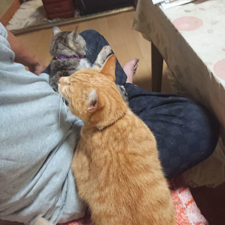 3cc1bc58 4755 4ca2 a6e3 463b147de70f 1596885879691