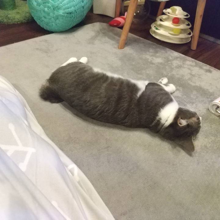 3cc1be3b 8d02 401a 92e4 8051e43c6f69 1615377142539