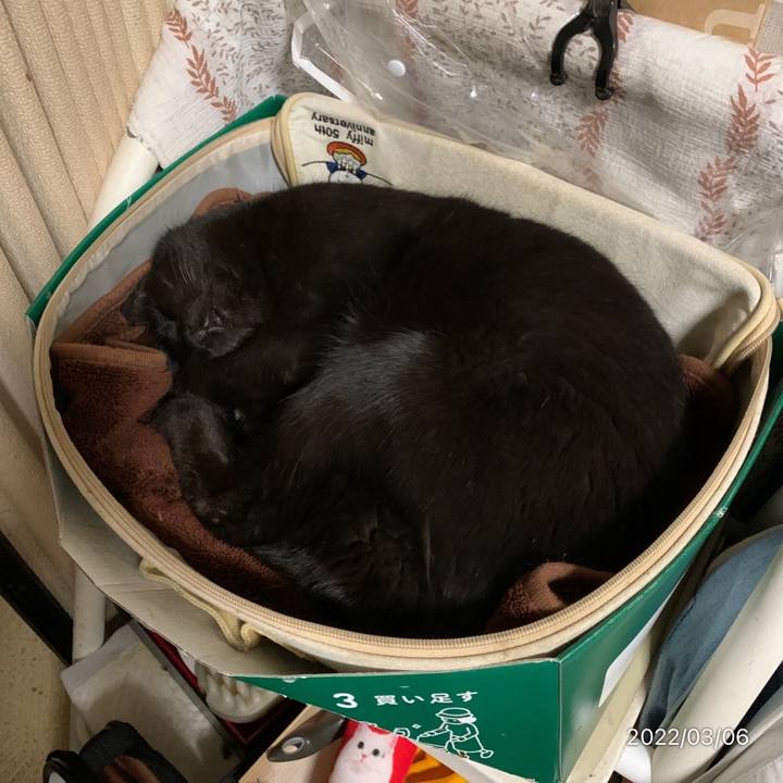 3cc1fcff 9119 439b 9656 829778ed3edd 1646572268841