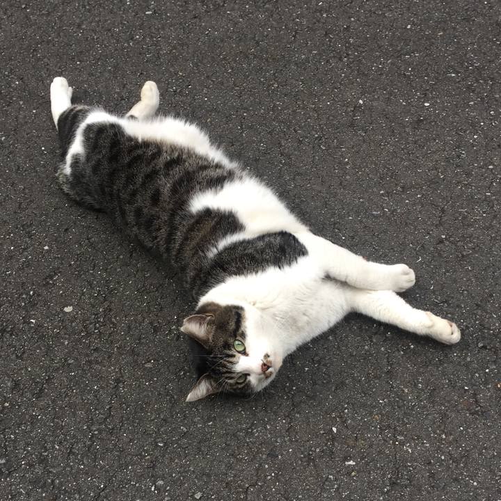 3cc21133 21ea 4878 bfc6 93569c6d3c7a 1511485536627