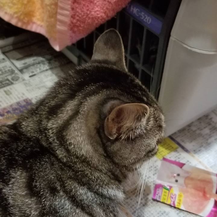 3cc22431 8918 4abd 9de9 be7e0e9800dc 1691681634769