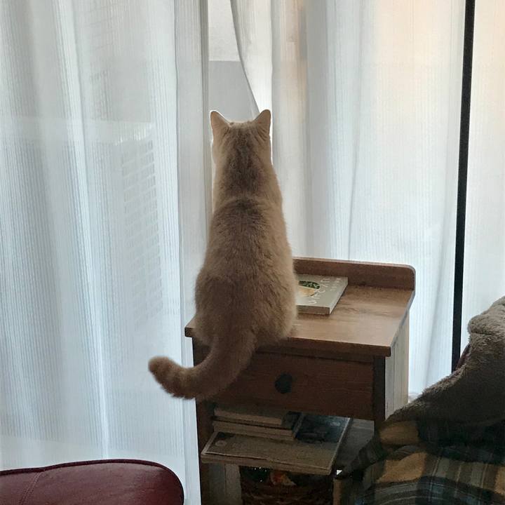 3cc228a2 d9dc 4da2 878b 061669317f10 1546646088730