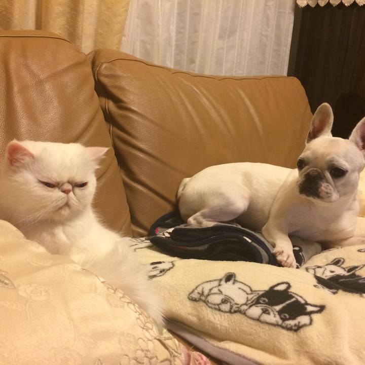 3cc2348a b7e9 4d61 8373 8bd84334a114 1743258853191