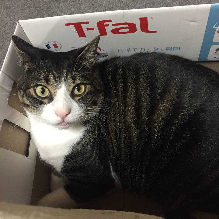 3cc2383f 451a 4f88 9d58 39e81aa39183 1526824407514