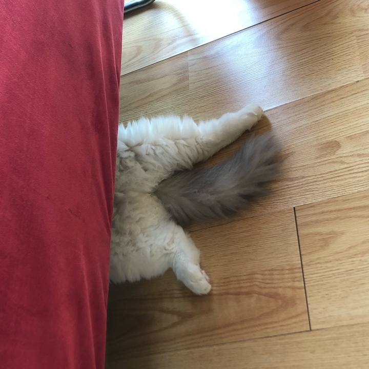 3cc24dbb 9d71 4d4f 9548 8ec0edd669d6 1628469428234