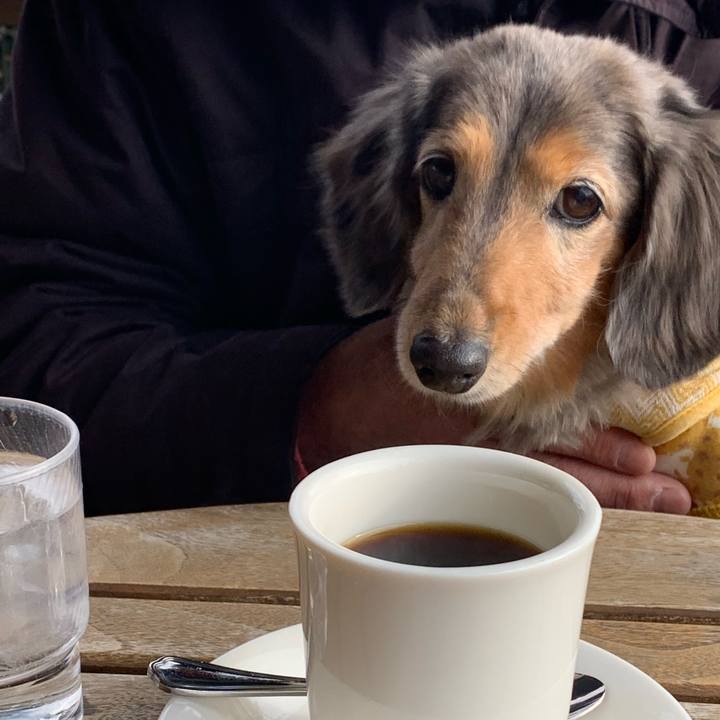 3cc250a9 3fa1 43ae aca0 4d1f08872572 1548514387968