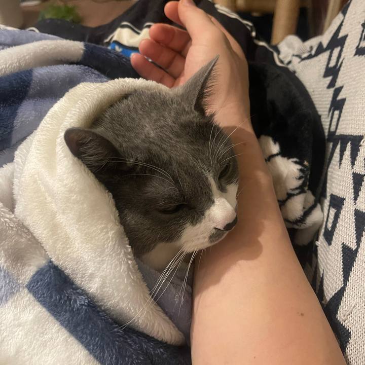 3cc27743 4ce5 4a8c b5e1 2b1a1a4d5a8a 1737283622395