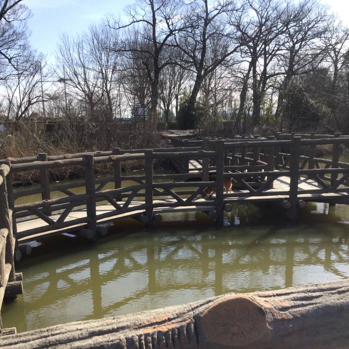 3cc280f4 7049 46ef 954b 4c7ea7c76268 1581054424743