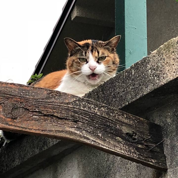 3cc29f5c 8dd9 475f b823 2d159e98e68d 1528978832937