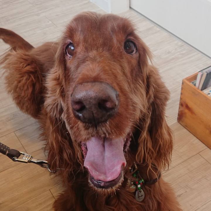 3cc2f5d6 4ad9 4bbf b971 ea00d4892000 1518238372543