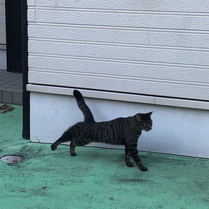 3cc3195f ee1f 4326 b1cd 801e7524e6d0 1575207200949