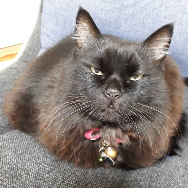 3cc34020 4685 4097 9474 927beebde54f 1548105896501