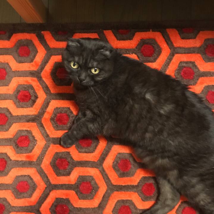 3cc38543 69a1 4ccd 8832 a9ad9a23d265 1554383307436