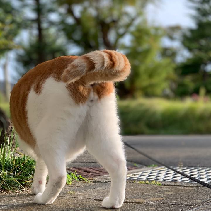 3cc3bf20 2090 4d62 a4bb c8b063f03643 1601678942831