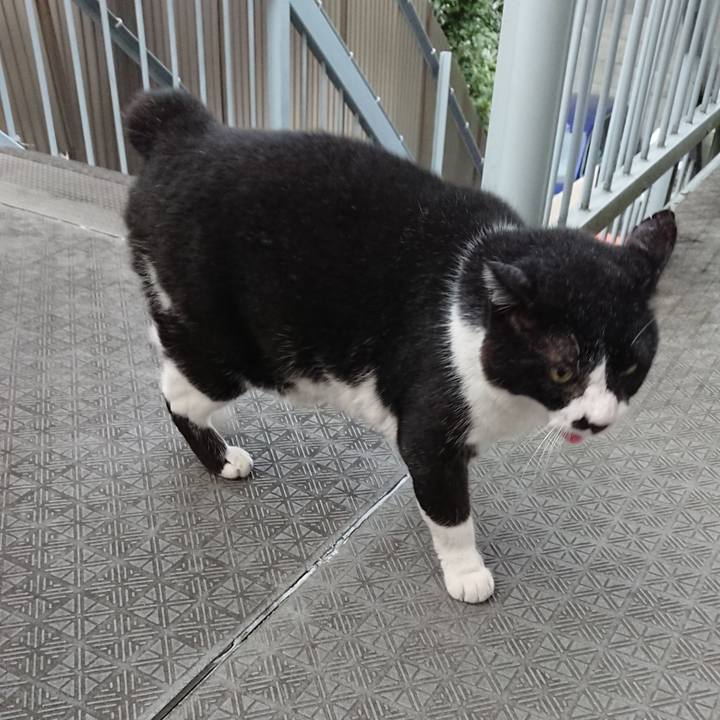 3cc3c47b 2bbc 45b3 9859 51b9b2987766 1660296667923