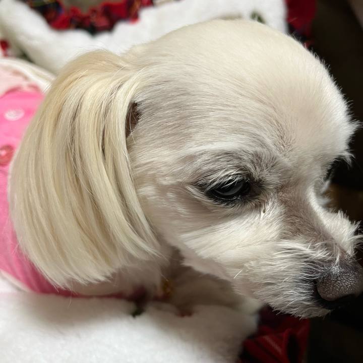 3cc3fb57 105a 40dc acf0 51ed8b63b493 1678186158314